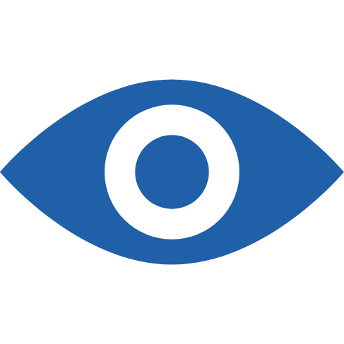 vision